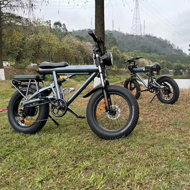 ASKGO S18 Electric Bike for Adults 750W Motor 48V 17.5Ah Mountain Bicycle